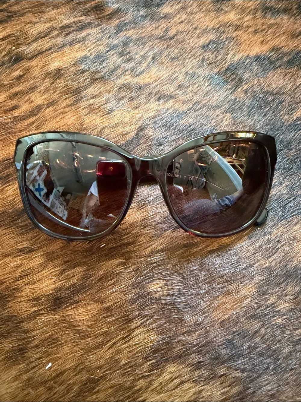 Coach L131 Dark Tortoise HC8156Q Sunglasses